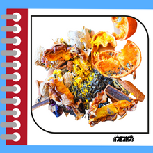 Cargar imagen en el visor de la galería, TISANA PIÑA